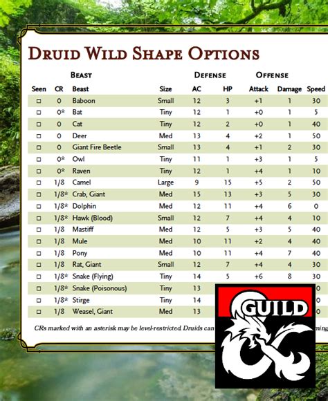 druid wild shape 5e options.